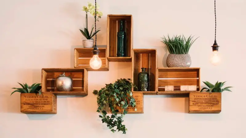 Top 6 Best Woods for Making Shelves