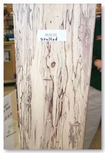 What is Spalted Wood?