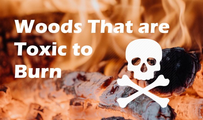 What Wood is Toxic to Burn?